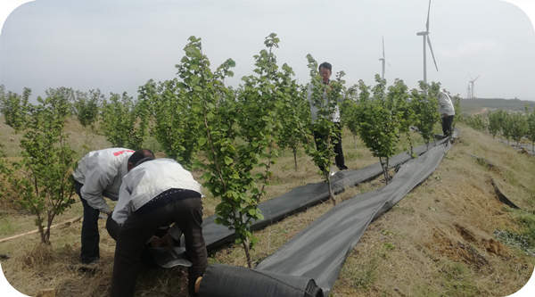 Poor households working in the base