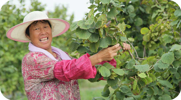 This is really a rich tree for farmers