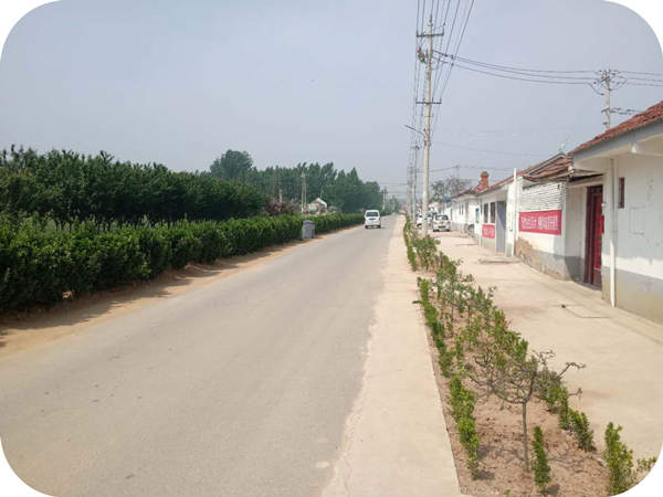 Huashan Zhenye helps impoverished villages build roads and beautify the village environment