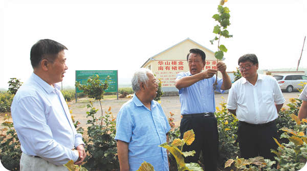 北京林業(yè)大學原校長中國堅果品牌集群專家組組長宋維明到基地調(diào)研