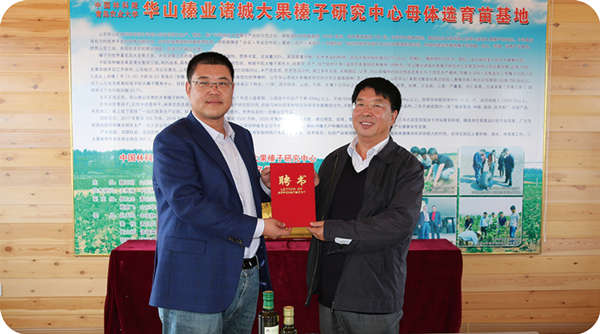 山東三羊榛緣生物科技有限公司聘請中國農(nóng)業(yè)大學 高彥祥教授為榛子深加工技術顧問
