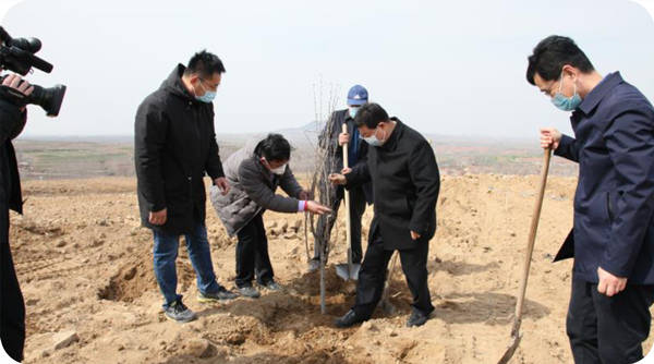 2020年諸城市委書記桑福嶺在萬畝榛子基地參加植樹活動