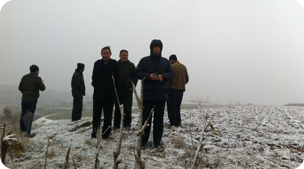 魏榛品牌創(chuàng)始人魏本欣規(guī)劃榛子種植基地建設(shè)