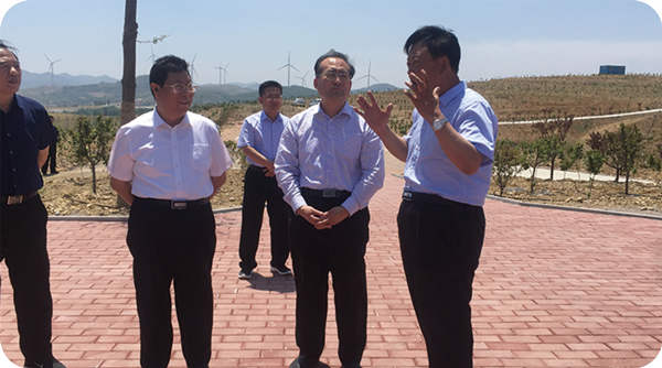 濰坊市副市長(zhǎng)馬清民到基地調(diào)研